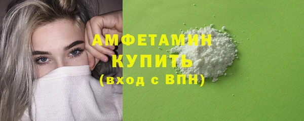 гидра Ельня