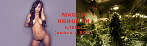 сатива Заводоуковск