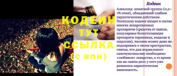 сатива Заводоуковск